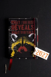 DEAFMESSANGER Diář 2027 Little Racoon