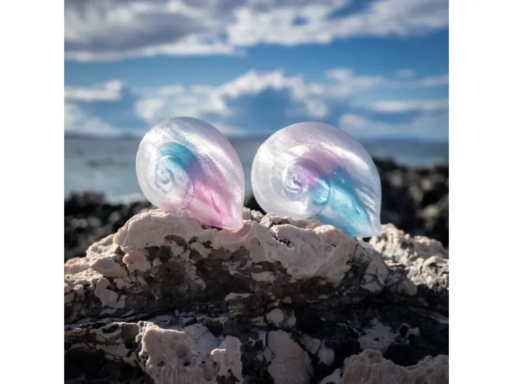 STUDIO JSEM Brož ULITKA