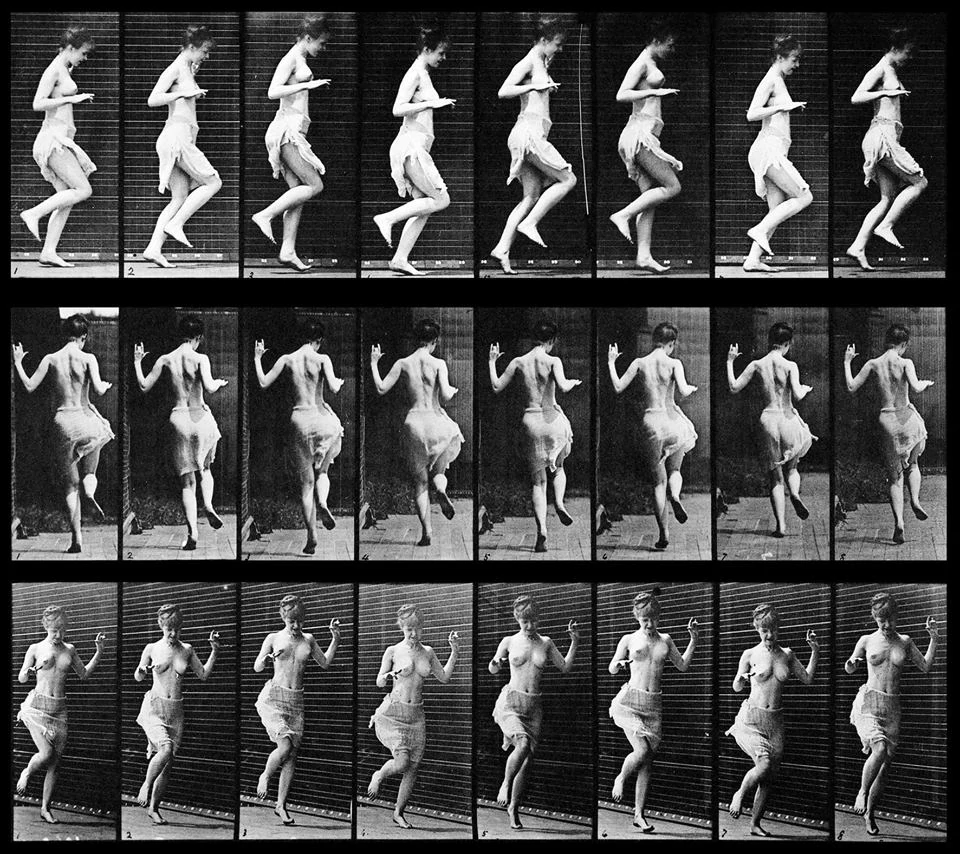 Dr LABORATOR Šaty Muybridge