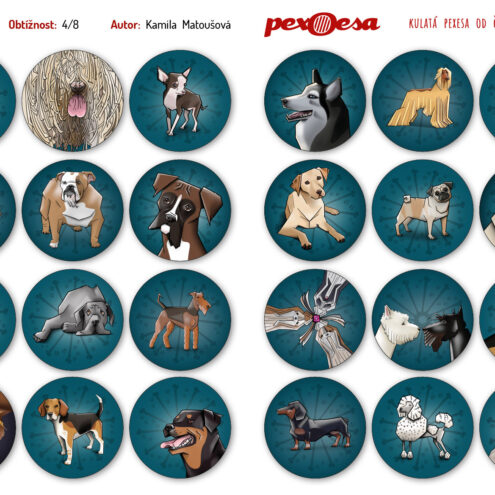 PEXOESA Kulaté Pexeso HAFÍCI