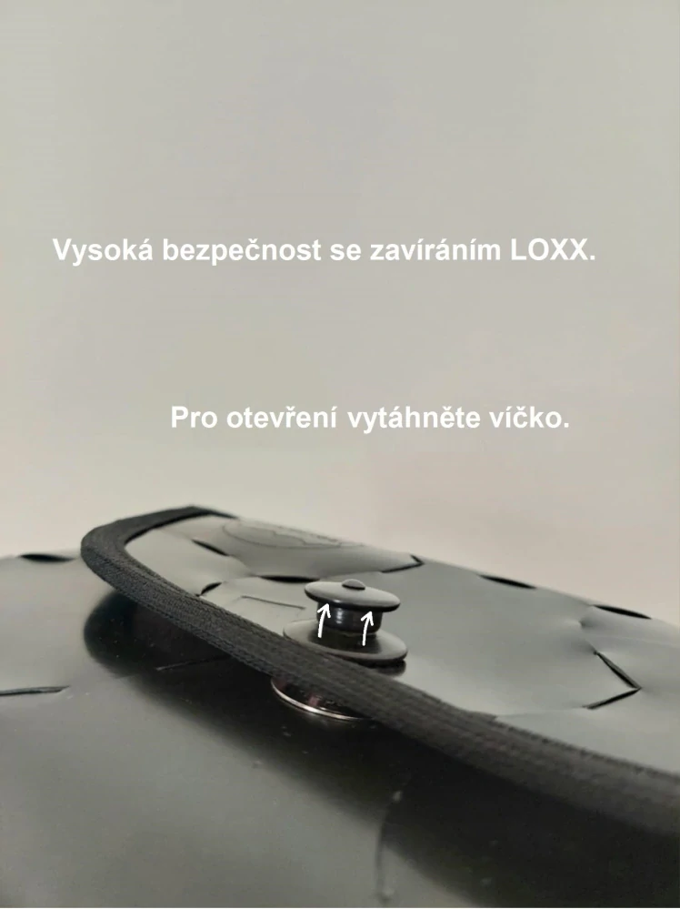 VERMEIRE taška LEDVINKA