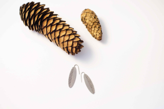 INTIMITY Náušnice PINECONE