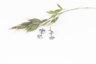 INTIMITY Náušnice TLAPKY