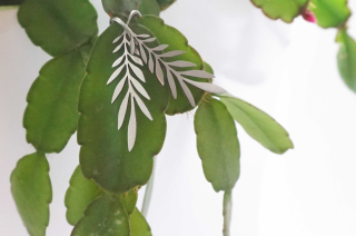 INTIMITY Náušnice PALM