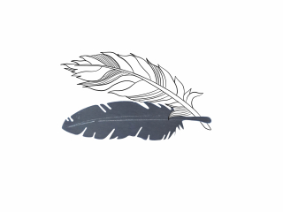INTIMITY Brož FEATHER